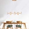 Leuchten Direkt CURLS Hanglamp LED Messing, 4-lichts