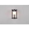 Trio Carmo Solarlamp LED Zwart, 1-licht, Bewegingsmelder