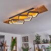 Pompu Plafondlamp LED Natuurlijke kleuren, Zwart, 1-licht