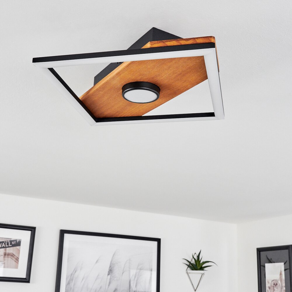 Lomnion Plafondlamp LED Natuurlijke kleuren, Zwart, 1-licht