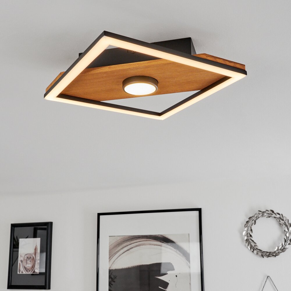 Lomnion Plafondlamp LED Natuurlijke kleuren, Zwart, 1-licht