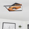 Lomnion Plafondlamp LED Natuurlijke kleuren, Zwart, 1-licht