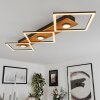 Lomnion Plafondlamp LED Natuurlijke kleuren, Zwart, 1-licht