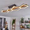 Tavon Plafondlamp LED Natuurlijke kleuren, Zwart, 1-licht