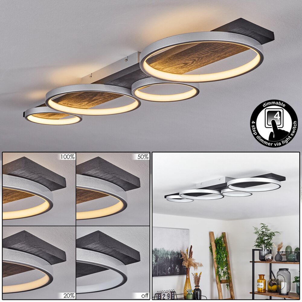 Rodekro Plafondlamp LED Zwart, Zilver, 1-licht main product photo