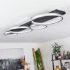 Rodekro Plafondlamp LED Zwart, Zilver, 1-licht