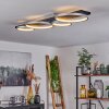 Rodekro Plafondlamp LED Zwart, Zilver, 1-licht