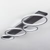 Rodekro Plafondlamp LED Zwart, Zilver, 1-licht