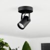 Kergus Plafondlamp Zwart, 1-licht