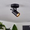Kergus Plafondlamp Zwart, 1-licht