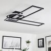 Lillavois Plafondlamp LED Zwart, 1-licht, Afstandsbediening