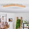Salmi Plafondlamp LED Bruin, houtlook, Wit, 1-licht