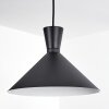 Vijes Hanger Zwart, 1-licht