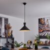 Vijes Hanger Zwart, 1-licht