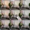 Phniet Tuinspot LED Zwart, 1-licht, Afstandsbediening, Kleurwisselaar