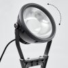Phniet Tuinspot LED Zwart, 1-licht, Afstandsbediening, Kleurwisselaar