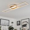 Lillavois Plafondlamp LED Nikkel mat, 1-licht, Afstandsbediening