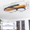 Rodekro Plafondlamp LED Natuurlijke kleuren, Zwart, 1-licht