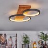 Rodekro Plafondlamp LED Natuurlijke kleuren, Zwart, 1-licht