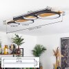 Rodekro Plafondlamp LED Natuurlijke kleuren, Zwart, 1-licht
