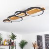Rodekro Plafondlamp LED Natuurlijke kleuren, Zwart, 1-licht
