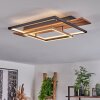 Pompu Plafondlamp LED Natuurlijke kleuren, Zwart, 1-licht