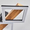Tavon Plafondlamp LED Natuurlijke kleuren, Zwart, 1-licht