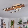Pompu Plafondlamp LED Natuurlijke kleuren, Zwart, 1-licht