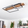 Pompu Plafondlamp LED Natuurlijke kleuren, Zwart, 1-licht