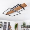 Pompu Plafondlamp LED Natuurlijke kleuren, Zwart, 1-licht