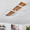 Pompu Plafondlamp LED Natuurlijke kleuren, Wit, 1-licht