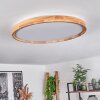 Menthonnex Plafondlamp LED Wit, 1-licht, Afstandsbediening