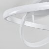 Cochato Plafondlamp LED Wit, 1-licht