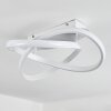 Cochato Plafondlamp LED Wit, 1-licht