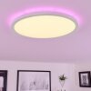 Hortinhas Plafondpaneel LED Wit, 1-licht, Afstandsbediening, Kleurwisselaar