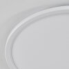 Hortinhas Plafondpaneel LED Wit, 1-licht, Afstandsbediening, Kleurwisselaar