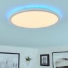 Hortinhas Plafondpaneel LED Wit, 1-licht, Afstandsbediening, Kleurwisselaar