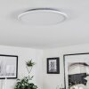 Hortinhas Plafondpaneel LED Wit, 1-licht, Afstandsbediening, Kleurwisselaar