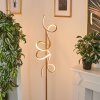Lavaca Staande lamp LED Messing, 2-lichts