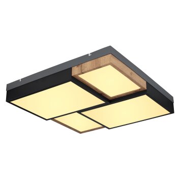 Globo GUNDI Plafondlamp LED Wit, 1-licht