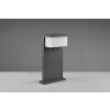 Trio Nestos Sokkellamp LED Antraciet, 1-licht, Bewegingsmelder