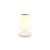 Reality Silva Solarlamp LED Wit, 1-licht