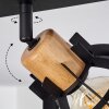 Dandin Plafondlamp Zwart, 2-lichts