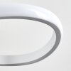 Pitasch Hanger LED Wit, 1-licht