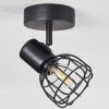 Piment Plafondlamp Zwart, 1-licht