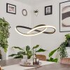 Pitasch Hanger LED Zwart, 1-licht