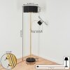 Murteirinha Staande lamp Messing, Zwart, 2-lichts