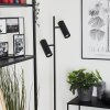 Trutielle Staande lamp Zwart, 2-lichts