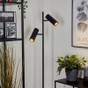 Trutielle Staande lamp Zwart, 2-lichts