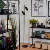 Trutielle Staande lamp Zwart, 2-lichts